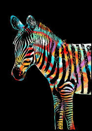 Zebra Portrait (A3)