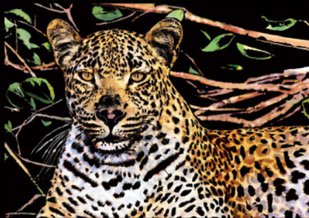 Jaguar Portrait (A3)